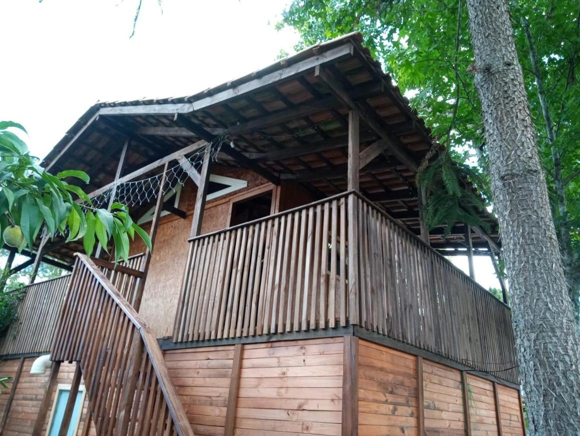 Hotel Mini House Park Campo Alegre  Exterior foto