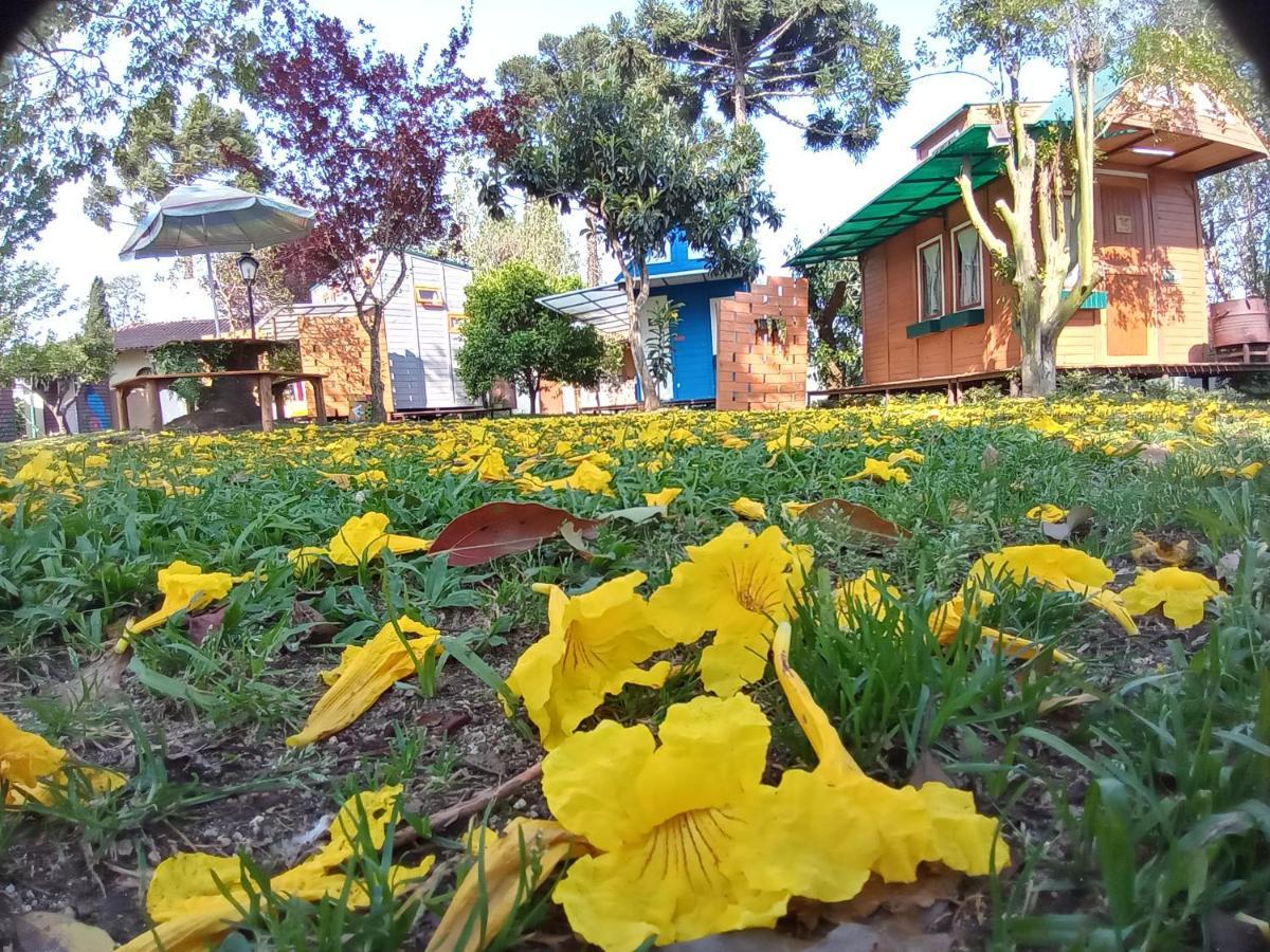 Hotel Mini House Park Campo Alegre  Exterior foto