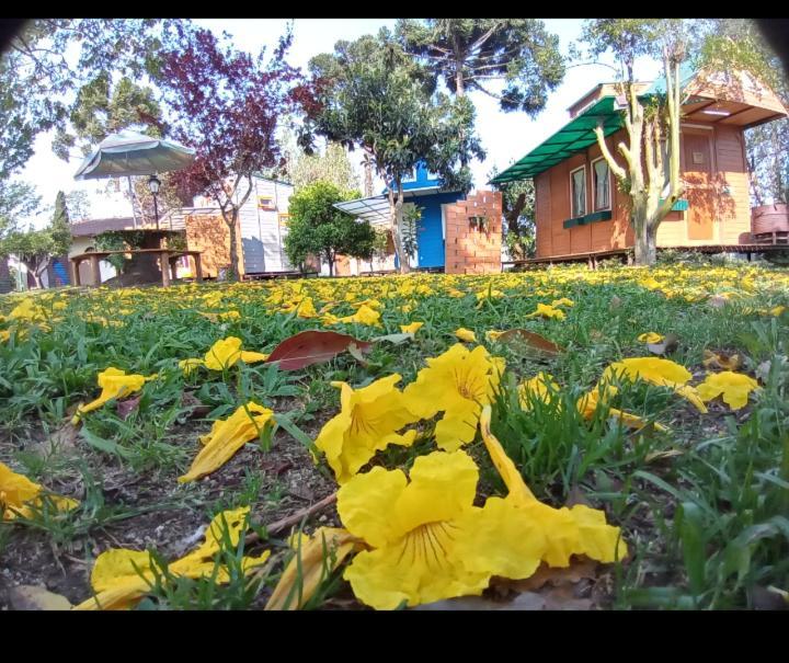 Hotel Mini House Park Campo Alegre  Exterior foto
